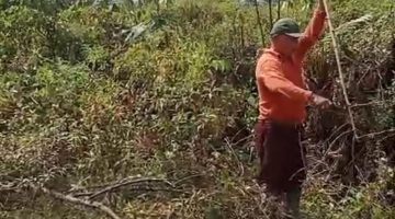 Belasan Tahun Tak Selesai, Warga Kutalimbaru Desak Pemerintah Pusat Turun Tangan Selesaikan Konflik Lahan